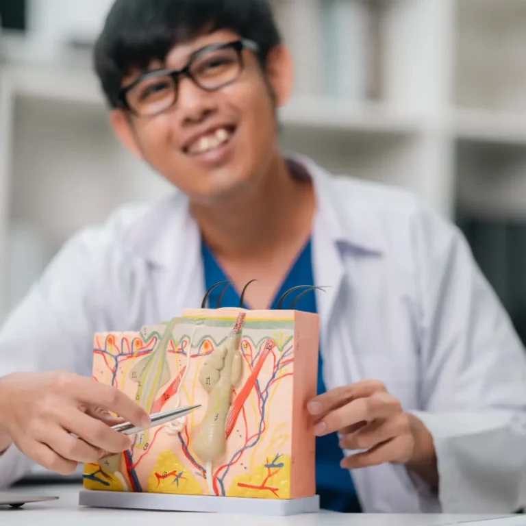 A smiling person in a white lab coat sits at a desk, pointing to a detailed anatomical model of human skin layers with a pen, in a bright, modern office or classroom setting.